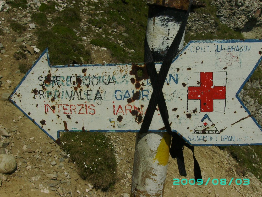 Bine ca nu atarna greu ca il lua vreunul la fier vechi Bine ca nu atarna greu ca il lua vreunul la fier vechi