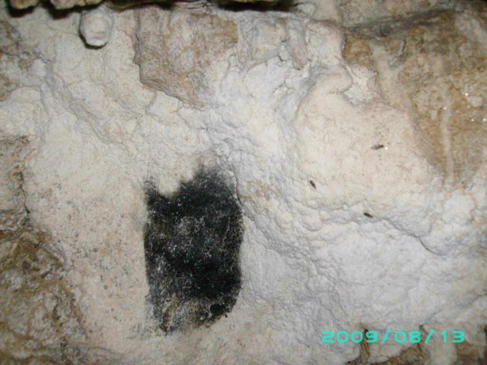 Aspect din Pestera Mica