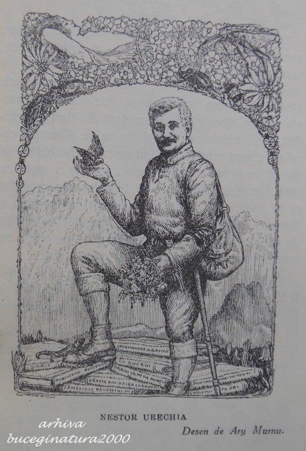 58