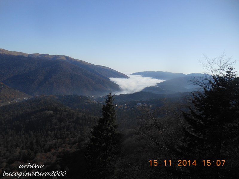 plafon de ceata la sinaia