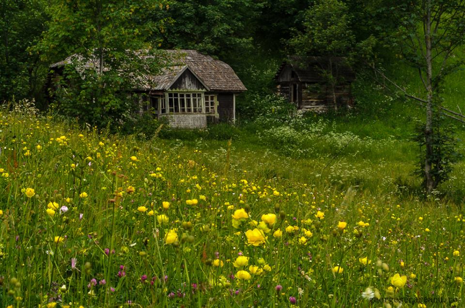 casa foto george secareanu