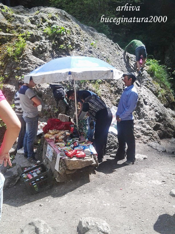 Cascada Urlatoarea 1