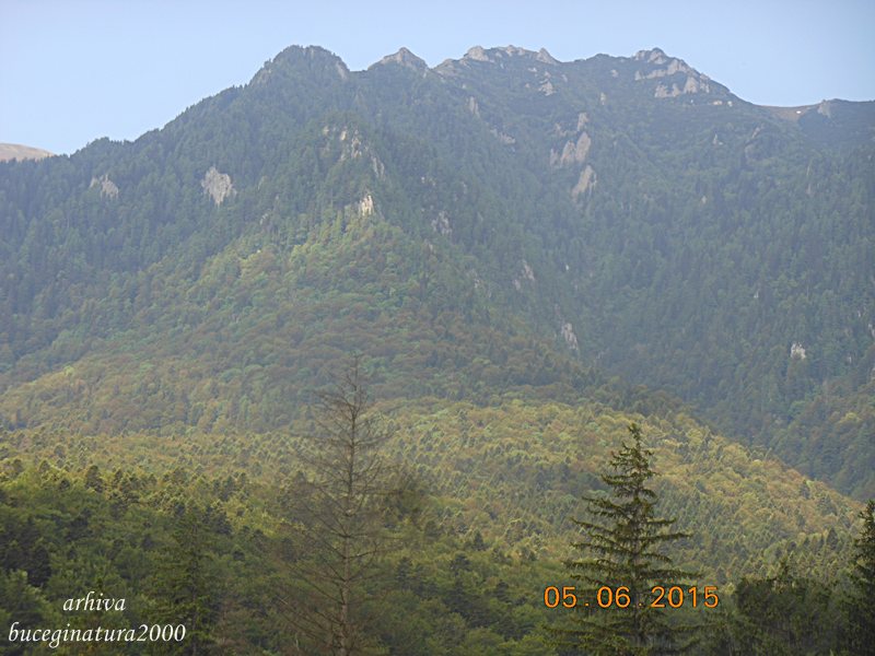munte 2