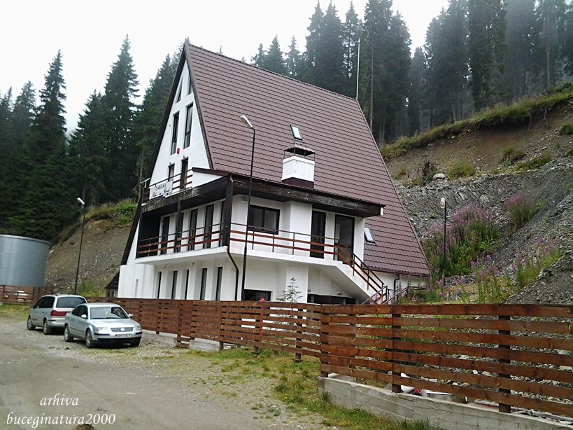 cabana podu cu florile