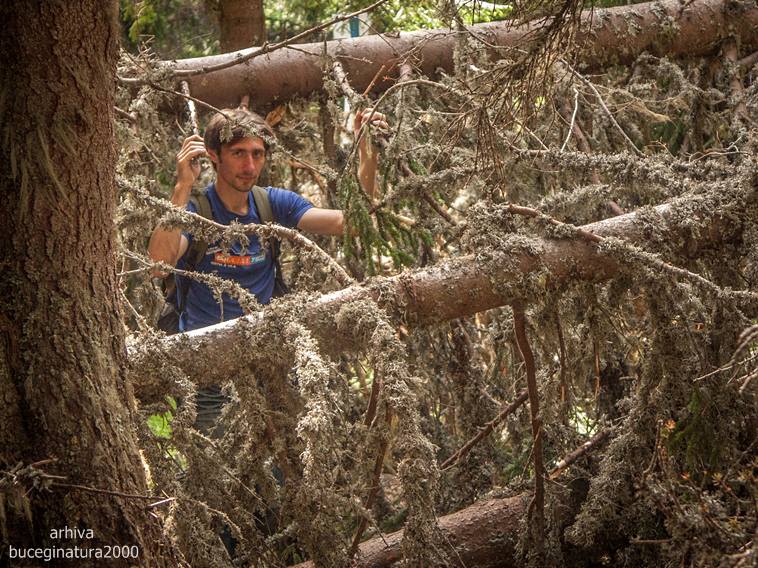 KONICA MINOLTA DIGITAL CAMERA