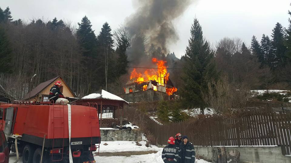 brandusa-elena-facebook