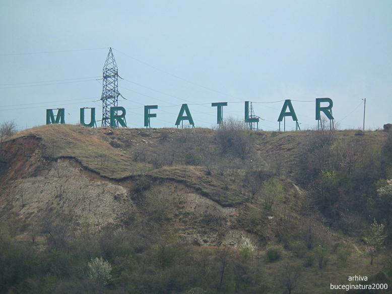 murfatlar 3