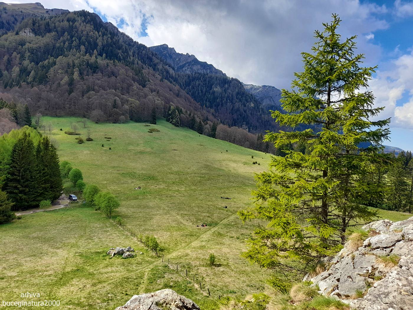 Sinaia Parc Si Poiana Stanei Regale BUCEGI NATURA 2000 Sinaia Parc Si Poiana Stanei Regale BUCEGI NATURA 2000